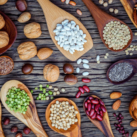 Qida liflərinin faydaları