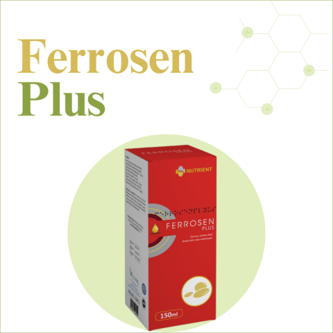 Ferrosen Plus