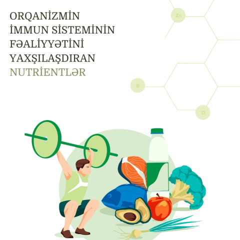 Orqanizmin immun sisteminin fəaliyyətini yaxşılaşdıran nutrientlər