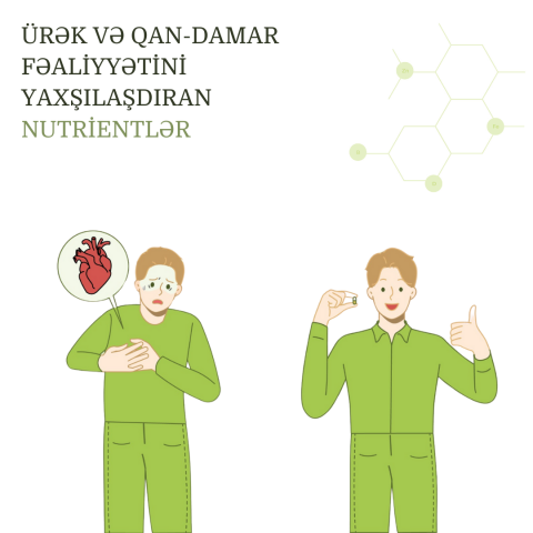 Ürək və qan-damar fəaliyyətini yaxşılaşdıran nutrientlər