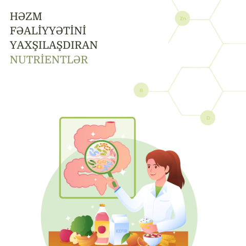 Həzm fəaliyyətini yaxşılaşdıran nutrientlər