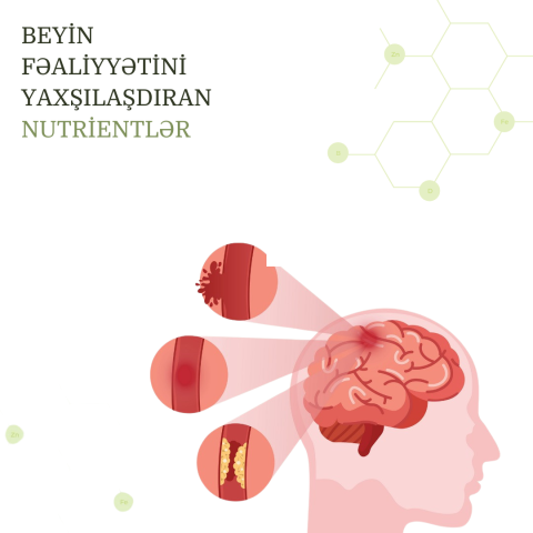 Beyin fəaliyyətini yaxşılaşdıran nutrientlər
