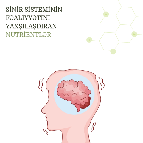 Sinir sisteminin fəaliyyətini yaxşılaşdıran nutrientlər